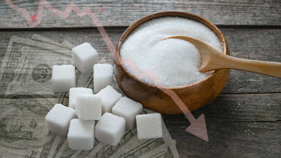 sugar futures price chart