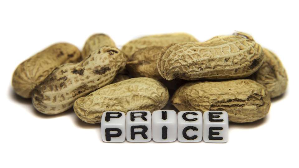 Zhengzhou Commodity Exchange Peanut Kernels Futures Price