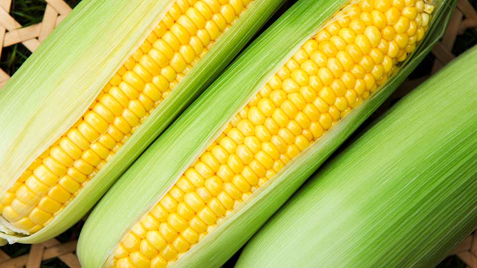globex corn futures