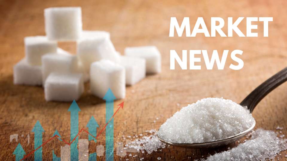 sugar futures price USD