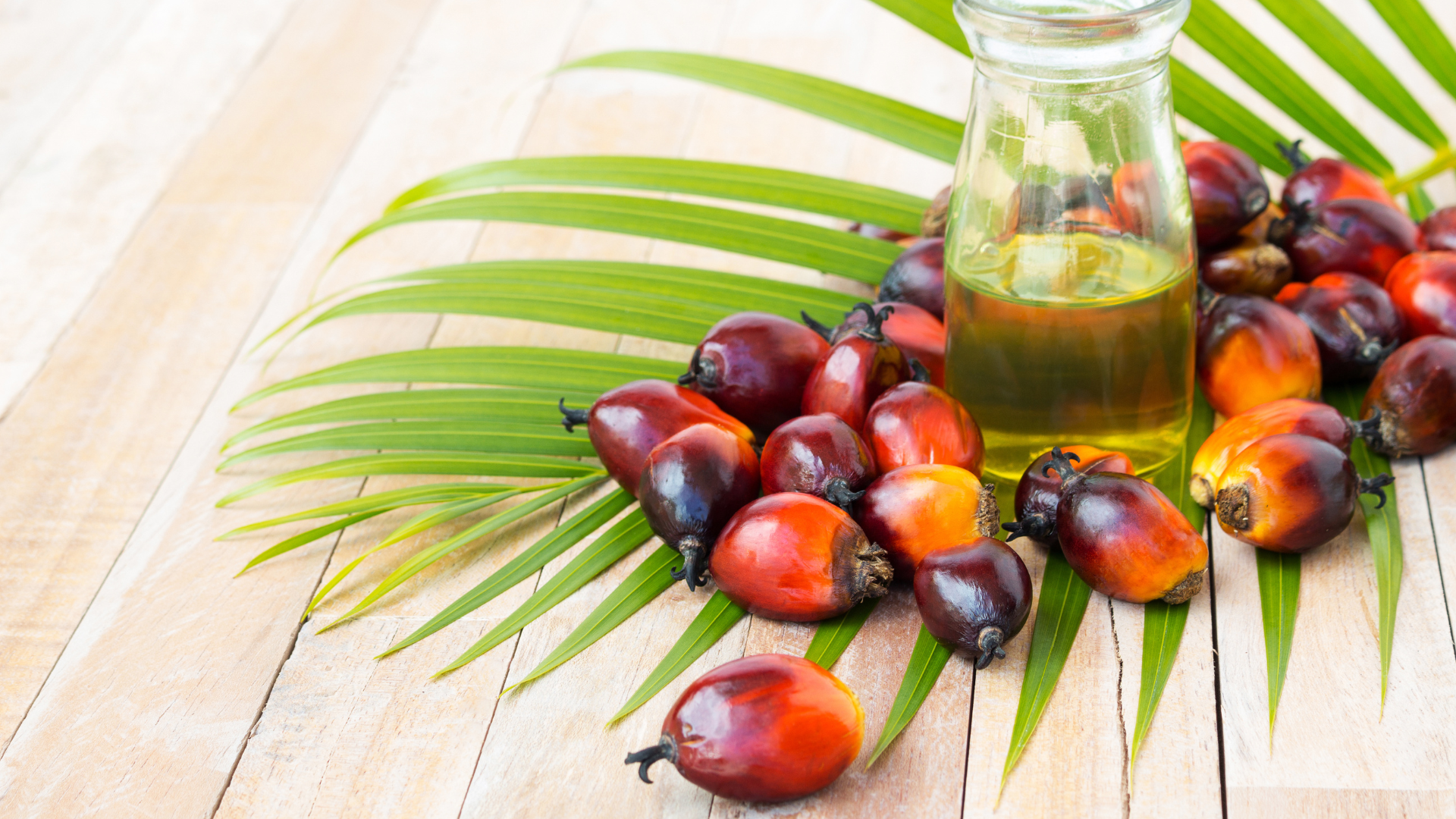 Palm Oil 