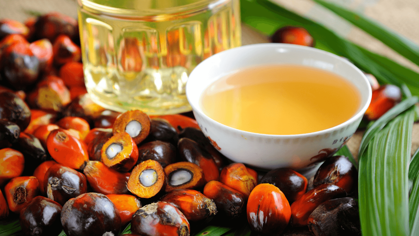 Rapeseed Oil and Palm Oil Spread 