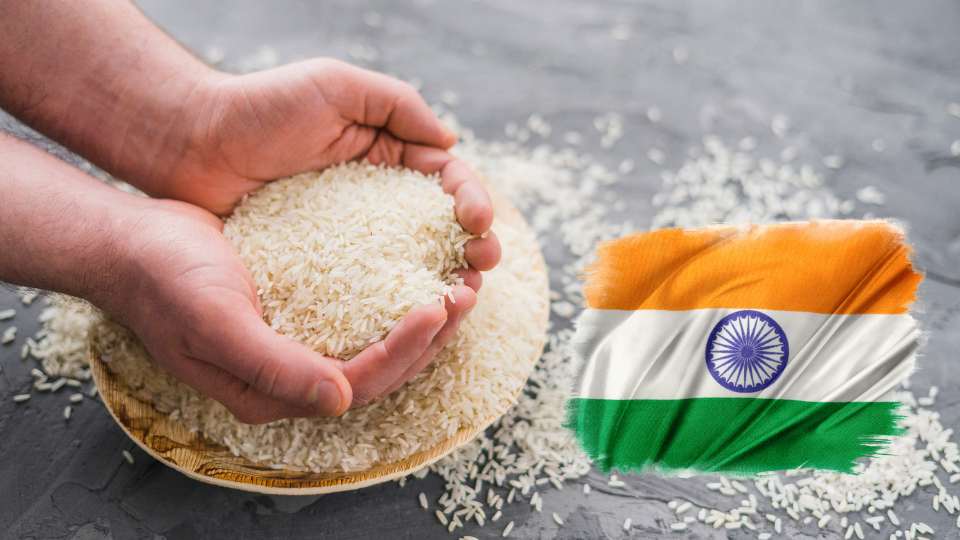 India bans rice exports