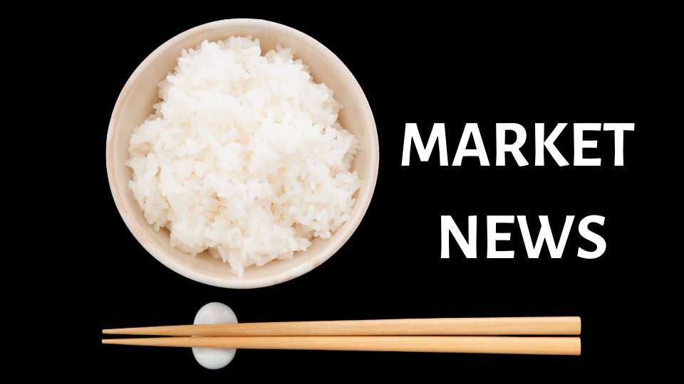 india bans rice exports market news