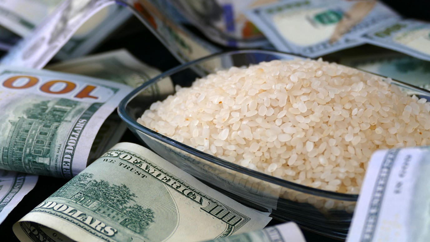 Rice Futures Price