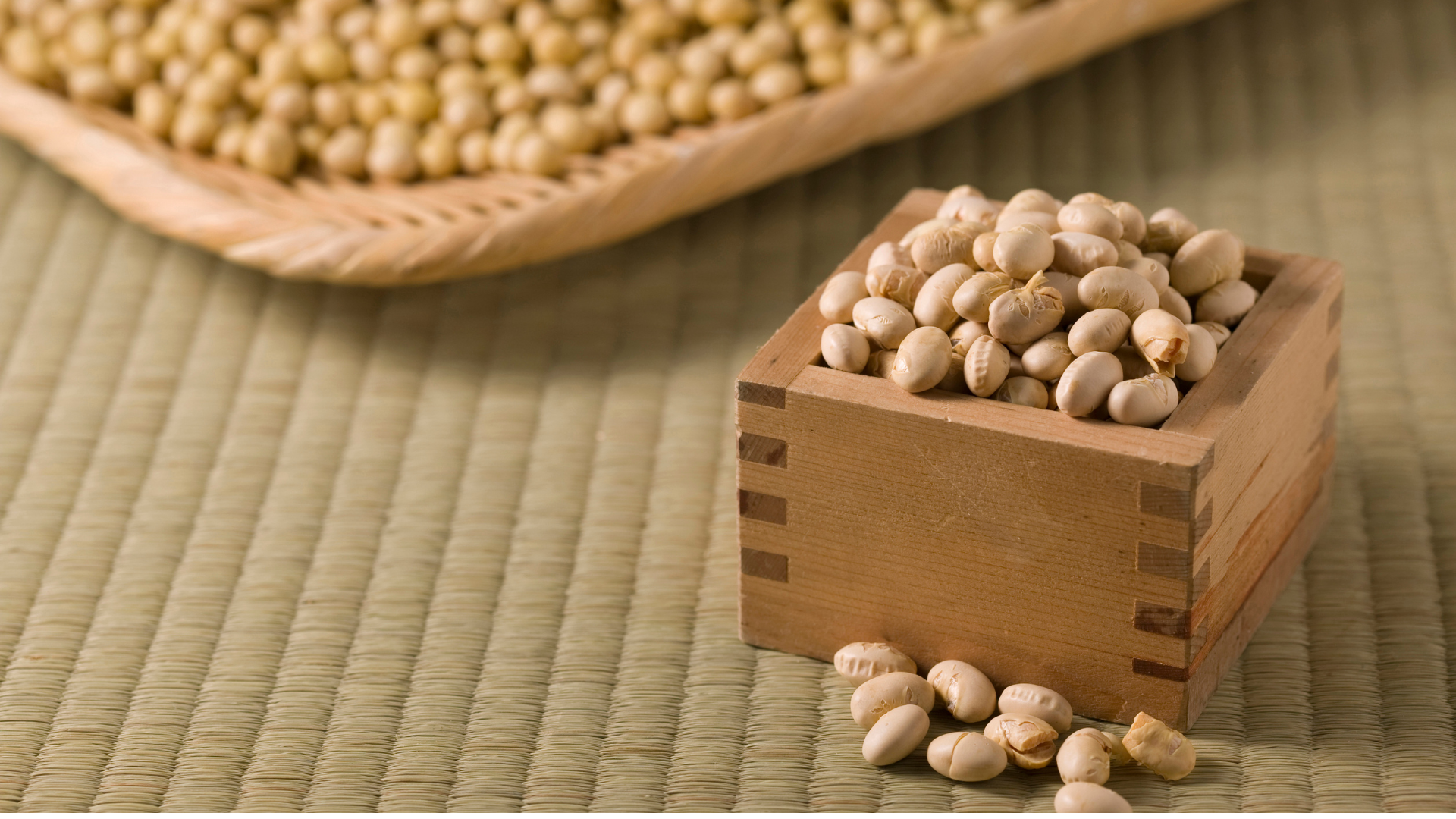 Soybean Meal Futures 