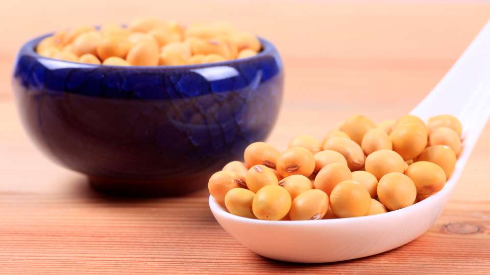 soybean in food