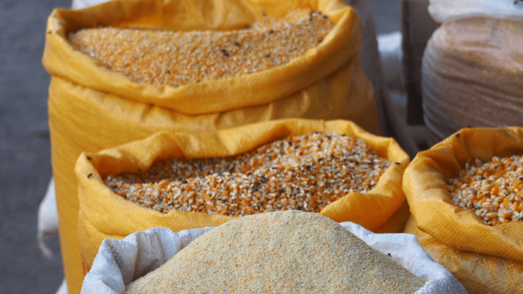 Bags of grains