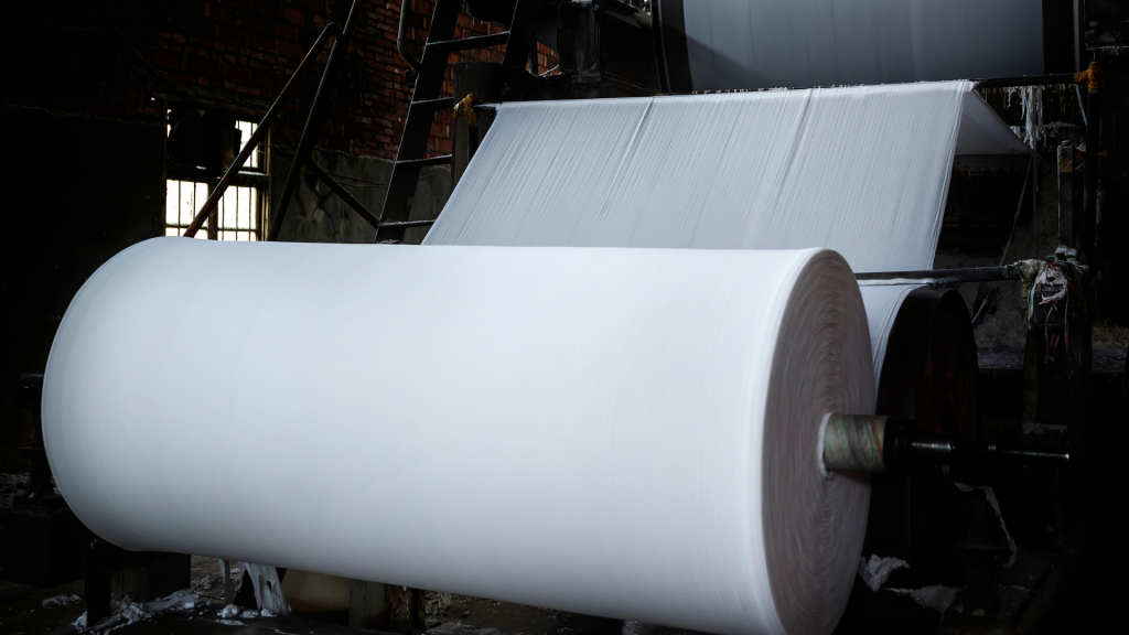 Paper and pulp mill