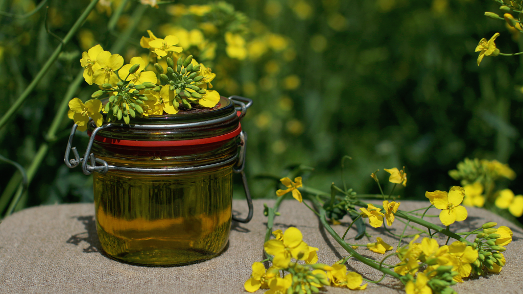 Glass jar with rapeseed oil on linen on a flowering rapeseed field