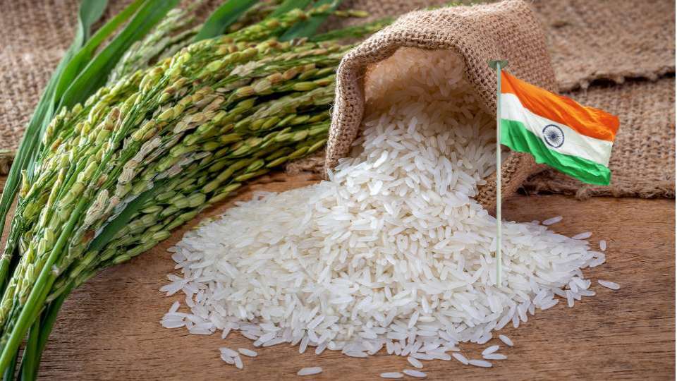 India Rough Rice